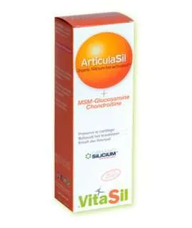 Articulasil Gel (MSM) Vitasil, 225ml - Imagen 2