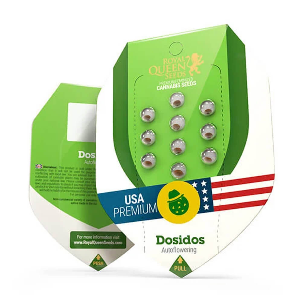 Semillas de marihuana autoflorecientes Do-si-dos Auto de Royal Queen Seeds (pack de 3 semillas) - Imagen 3